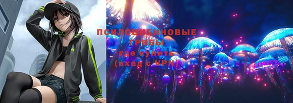 PSILOCYBIN Волоколамск