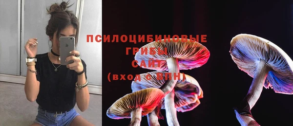 PSILOCYBIN Волоколамск