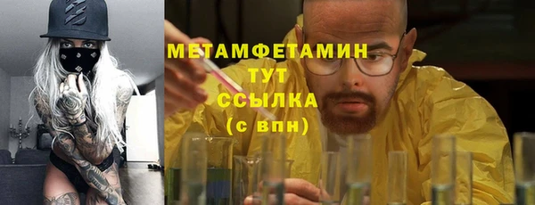 PSILOCYBIN Волосово