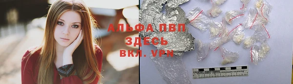 PSILOCYBIN Волосово