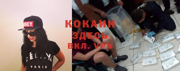 PSILOCYBIN Волоколамск