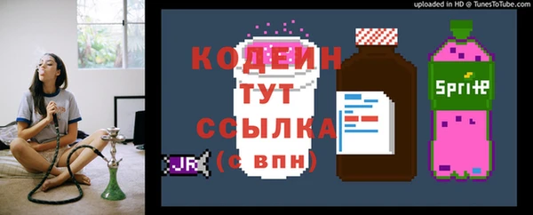 PSILOCYBIN Волосово