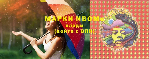 PSILOCYBIN Волосово