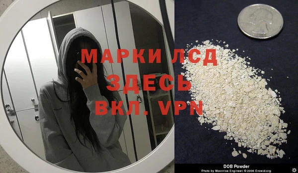 PSILOCYBIN Волосово