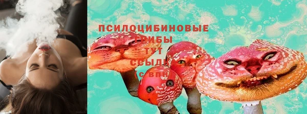 гашик Володарск