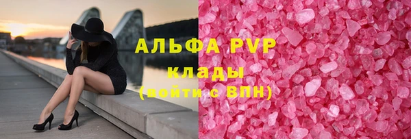 PSILOCYBIN Волосово