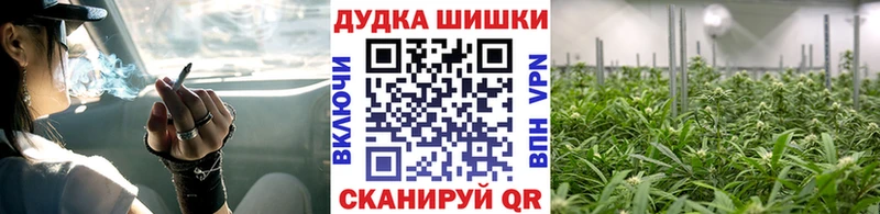 Конопля MAZAR  Купить где  Обоянь 